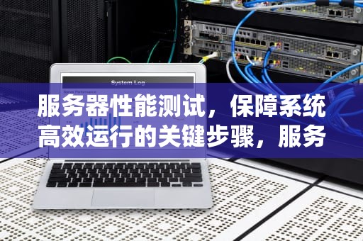 服务器性能测试，保障系统高效运行的关键步骤，服务器性能测试描述怎么写