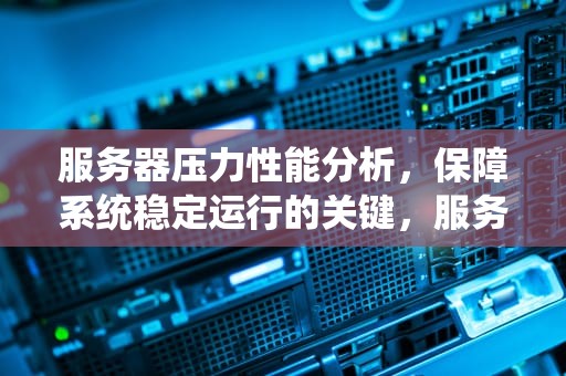 服务器压力性能分析，保障系统稳定运行的关键，服务器压力性能分析报告