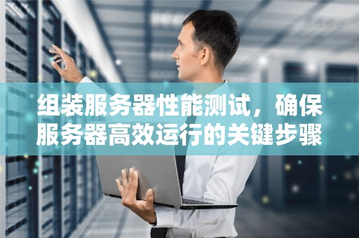 组装服务器性能测试，确保服务器高效运行的关键步骤，组装服务器性能测试方法