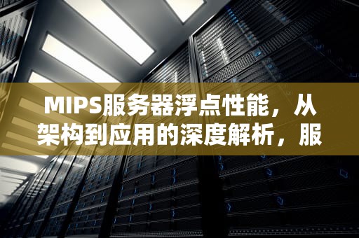 MIPS服务器浮点性能，从架构到应用的深度解析，服务器浮点计算能力