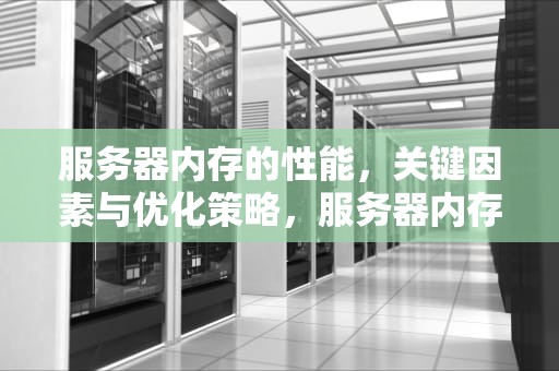 服务器内存的性能，关键因素与优化策略，服务器内存的性能怎么看