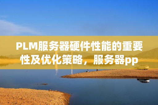 PLM服务器硬件性能的重要性及优化策略，服务器ppm是什么意思