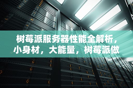 树莓派服务器性能全解析，小身材，大能量，树莓派做服务器性能怎么样
