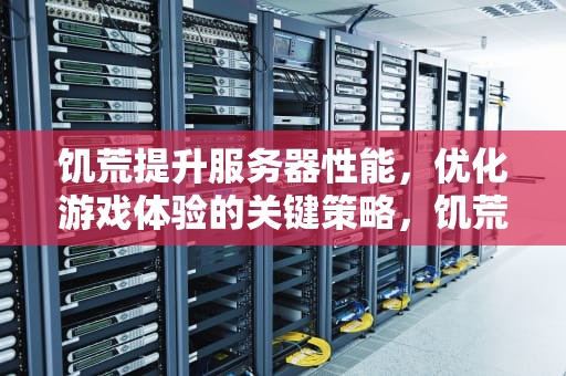饥荒提升服务器性能，优化游戏体验的关键策略，饥荒提升服务器性能mod