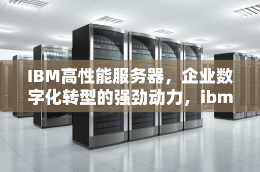 IBM高性能服务器，企业数字化转型的强劲动力，ibm高端服务器