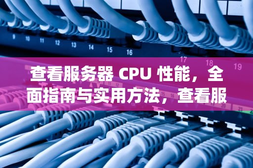 查看服务器 CPU 性能，全面指南与实用方法，查看服务器cpu性能参数