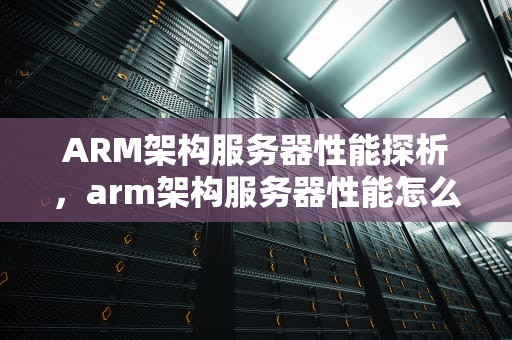 ARM架构服务器性能探析，arm架构服务器性能怎么样