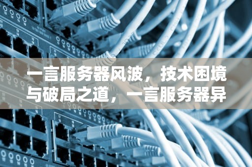 一言服务器风波，技术困境与破局之道，一言服务器异常