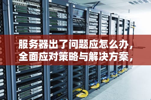 服务器出了问题应怎么办，全面应对策略与解决方案，服务器出了问题应怎么办解决