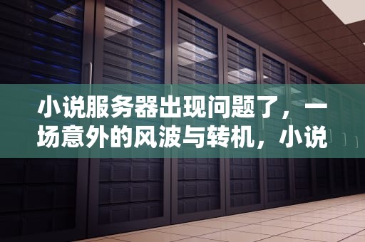 小说服务器出现问题了，一场意外的风波与转机，小说服务器出现问题了怎么办