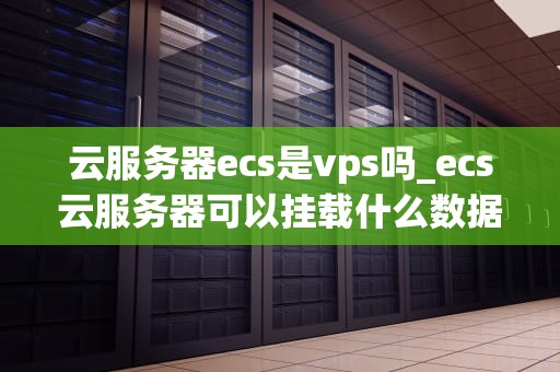 云服务器ecs是vps吗_ecs云服务器可以挂载什么数据盘_深入理解云服务器ECS和VPS的区别