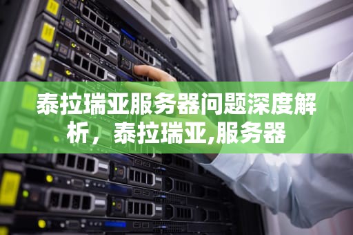 泰拉瑞亚服务器问题深度解析，泰拉瑞亚,服务器