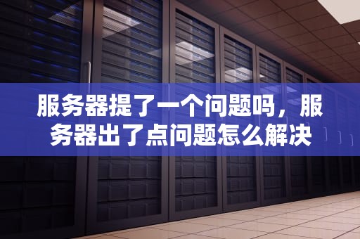 服务器提了一个问题吗，服务器出了点问题怎么解决