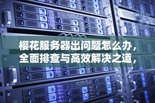 樱花服务器出问题怎么办，全面排查与高效解决之道，樱花服务器出问题怎么办啊
