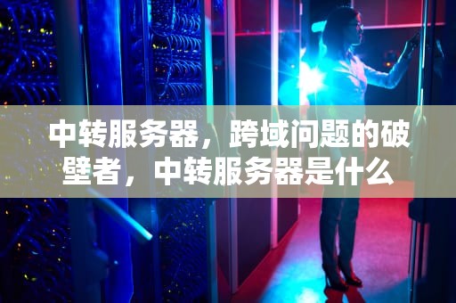 中转服务器，跨域问题的破壁者，中转服务器是什么
