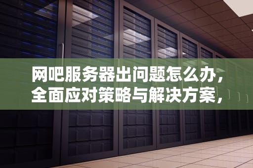 网吧服务器出问题怎么办，全面应对策略与解决方案，网吧服务器出问题怎么办啊