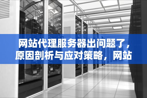 网站代理服务器出问题了，原因剖析与应对策略，网站代理服务器出问题了怎么办