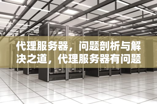 代理服务器，问题剖析与解决之道，代理服务器有问题吗吗安全吗