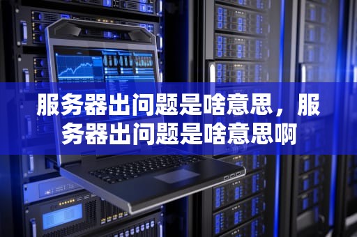 服务器出问题是啥意思，服务器出问题是啥意思啊