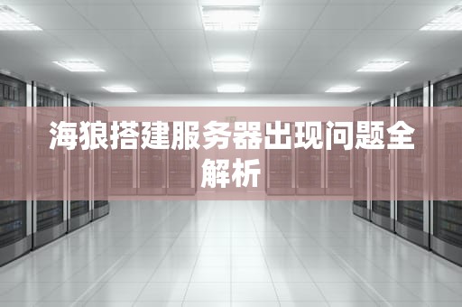 海狼搭建服务器出现问题全解析