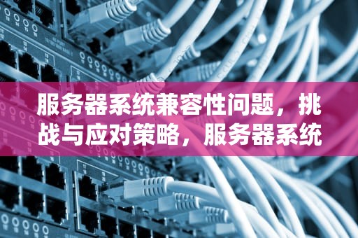 服务器系统兼容性问题，挑战与应对策略，服务器系统兼容性问题有哪些