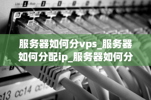 服务器如何分vps_服务器如何分配ip_服务器如何分VPS：全面解析