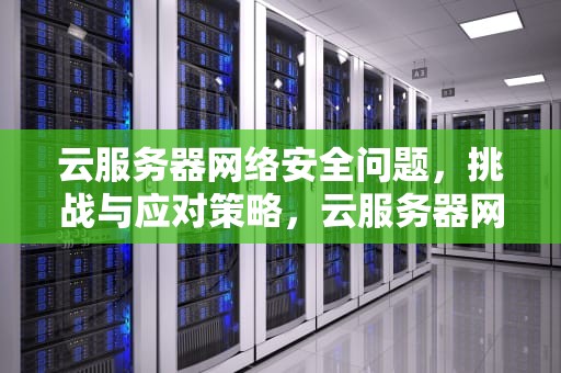 云服务器网络安全问题，挑战与应对策略，云服务器网络安全问题有哪些