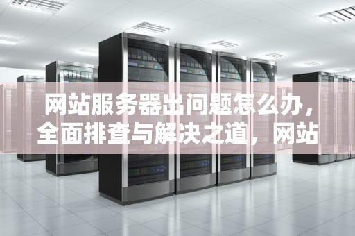 网站服务器出问题怎么办，全面排查与解决之道，网站服务器出问题怎么办啊