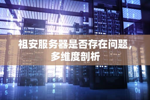 祖安服务器是否存在问题，多维度剖析