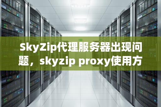 SkyZip代理服务器出现问题，skyzip proxy使用方法