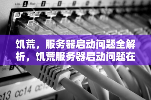 饥荒，服务器启动问题全解析，饥荒服务器启动问题在哪修