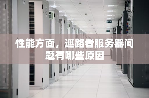 性能方面，巡路者服务器问题有哪些原因