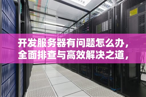 开发服务器有问题怎么办，全面排查与高效解决之道，开发服务器有问题怎么办啊