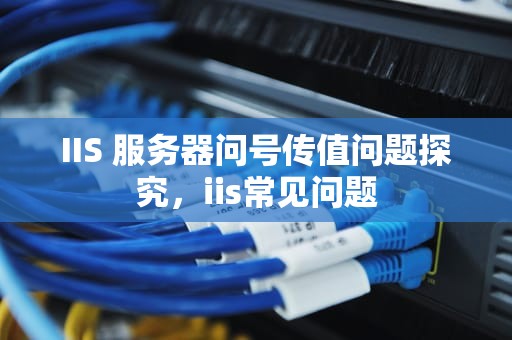 IIS 服务器问号传值问题探究，iis常见问题