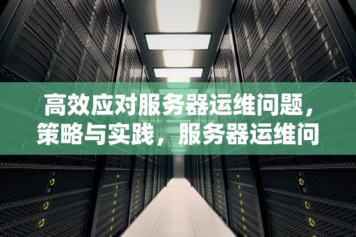高效应对服务器运维问题，策略与实践，服务器运维问题解决方案