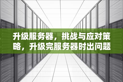 升级服务器，挑战与应对策略，升级完服务器时出问题吗怎么办