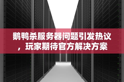 鹅鸭杀服务器问题引发热议，玩家期待官方解决方案
