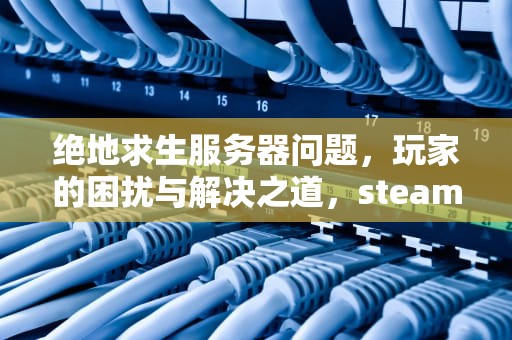 绝地求生服务器问题，玩家的困扰与解决之道，steam绝地求生服务器遇到问题怎么办