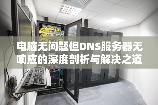 电脑无问题但DNS服务器无响应的深度剖析与解决之道，dns电脑服务器无响应如何处理