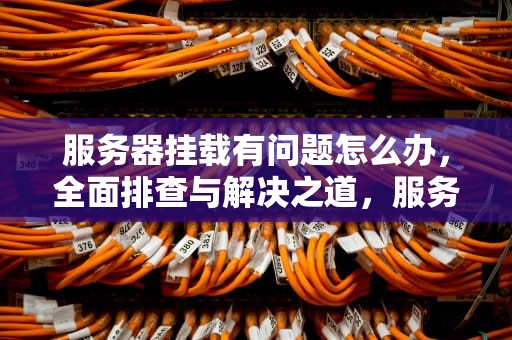 服务器挂载有问题怎么办，全面排查与解决之道，服务器挂载有问题怎么办啊