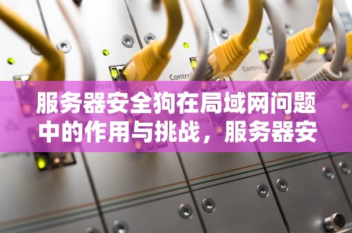 服务器安全狗在局域网问题中的作用与挑战，服务器安全狗是什么