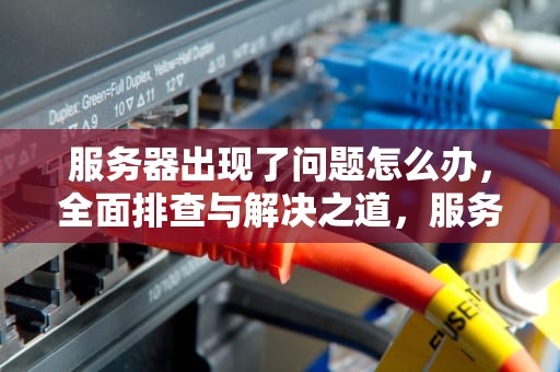 服务器出现了问题怎么办，全面排查与解决之道，服务器出现了问题怎么办啊