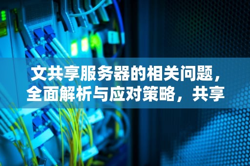 文共享服务器的相关问题，全面解析与应对策略，共享文档服务器