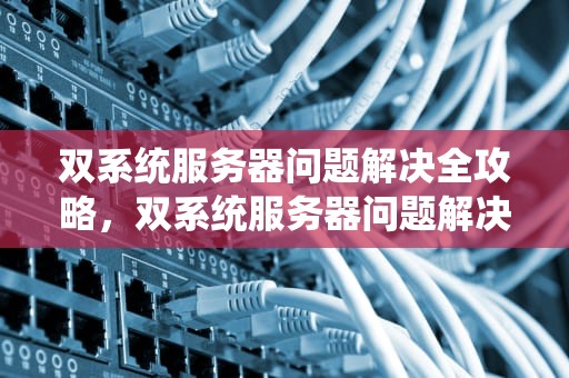 双系统服务器问题解决全攻略，双系统服务器问题解决方案