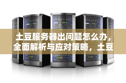 土豆服务器出问题怎么办，全面解析与应对策略，土豆服务器是什么意思