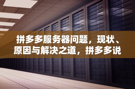 拼多多服务器问题，现状、原因与解决之道，拼多多说服务器有问题怎么办