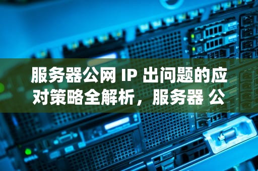 服务器公网 IP 出问题的应对策略全解析，服务器 公网ip