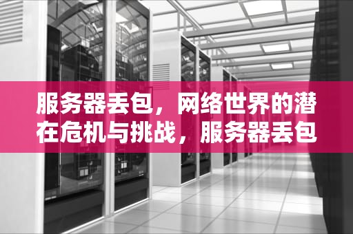 服务器丢包，网络世界的潜在危机与挑战，服务器丢包导致什么问题呢
