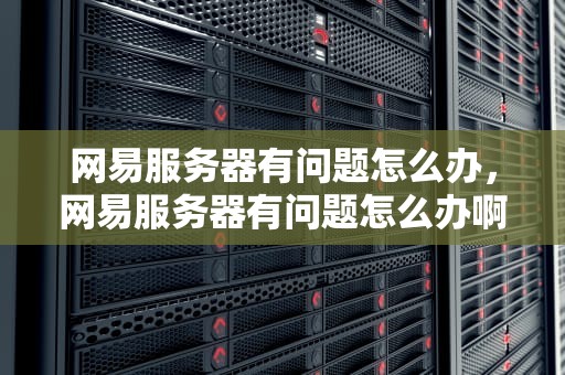 网易服务器有问题怎么办，网易服务器有问题怎么办啊