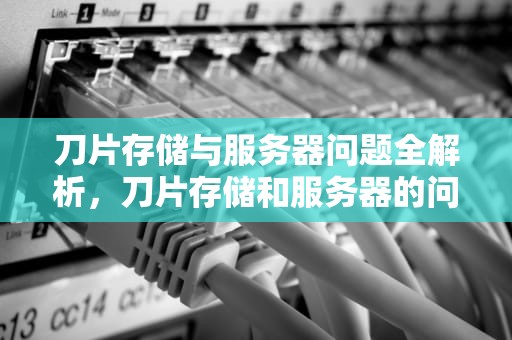 刀片存储与服务器问题全解析，刀片存储和服务器的问题有哪些